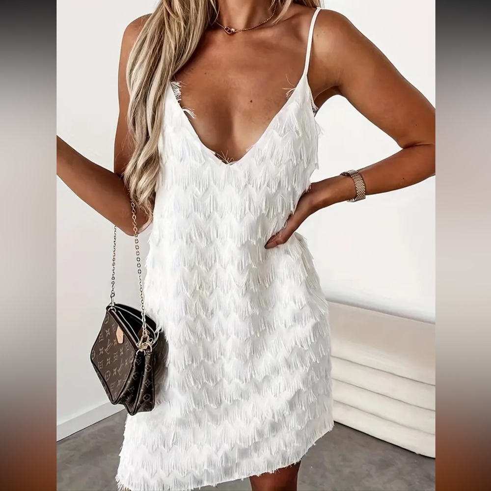 NEW Fringe & Frill Dress